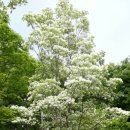 선주리들공원 이미지