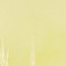 덕천한의원 이미지