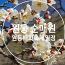 할리스커피양산원동점