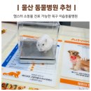 이솝동물병원 이미지