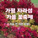 가평역 삼거리 1 | 가평 자라섬 꽃축제 다녀온 후기 ㅣ 경기도 가을축제 가볼만한곳 총정리