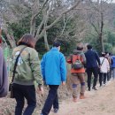 비석공원길 이미지