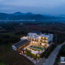 진흥민박 이미지