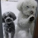 명지오션시티동물병원 이미지