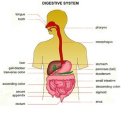 미소진한의원 이미지