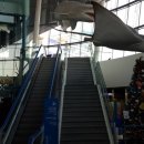 (주)크로샤크 | 일산 아쿠아플라넷 육아 교육체험장 다녀온후기로 추천합니다