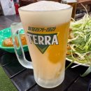 신탄진시장 | 신탄진맛집 치킨 꼭 먹어야하는 신탄진술집 쌉쌀싸롱 분위기 굳