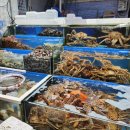 삼화힐링타운 | [가평 펜션]연말파티 펜션 삼화힐링타운 후기 (온수수영장)