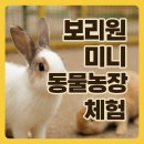 보리원농장 이미지