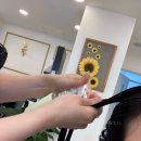 등촌역 미용실 [아이앤투헤어] 나노힐 클리닉5단계