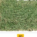 삼일농장 이미지