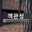 로드리, 월드컵 우승과 골든볼로 '역대 최고의 6번' 논쟁의 중심에 서다 이미지