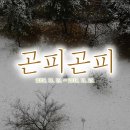 (주)곤 이미지