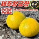 햇살과일