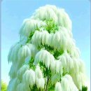 大選 慘敗에 束手無策인 국민의힘? 이미지