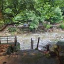 초록 펜션 이미지