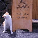 카페곁에