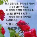 11월 7일 (화요일) 아침인사~ 이미지