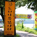 느티나무좌대