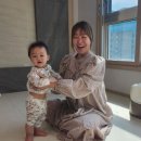 '아들만 다섯' 정주리, 임신 중 수입 0원 "연금 보험료 못내 울며 매달렸다" 이미지