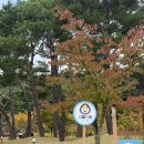 핫한 김천 ‘김밥축제’ 체력 소진후기인데 개선사항을 곁들인…