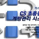 시스템 카스 이미지