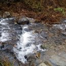 잭과 사과나무 이미지