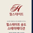 스테이힐 이미지