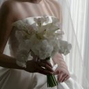 344 | 서울 결혼식 아이폰스냅 디안스냅 본식 후기, 로프트가든344 추천후기