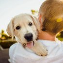 고덕 동물의료센터 이미지