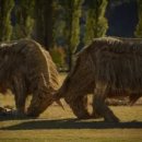 에코에코 협동조합 이미지