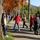 나주 &#39;산림연구소 수목원&#39;[24. 11. 24] 이미지