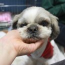덩어리 이미지