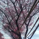 매산큰길 이미지