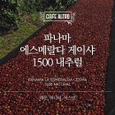 꽃피는커피