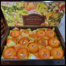 다미농장 이미지