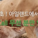 고양한우영농조합법인 이미지