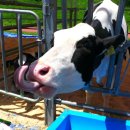 문화목장 이미지