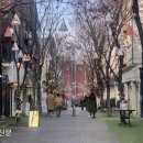 보정동 카페거리 이미지