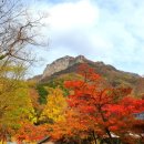 긍정적 사고가 승리자(勝利者)를 만든다 이미지