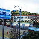 명장초등학교 이미지