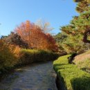 효덕IC아래 이미지