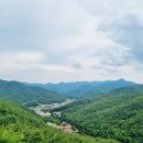 야생화마을 | 전국 자연휴양림 1탄] 속리산숲체험휴양마을 배석대 이용후기