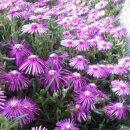 솔빛학교 이미지