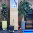 남원당구장 이미지