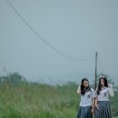 엘지화학주가내리는이유, 문제의 핵심과 전망은?