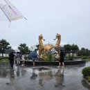 부산튼튼365의원 | 부산 아이들과 가볼만한곳 국립수산과학관,다미 다침 기장 부산튼튼365의원