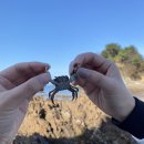 노라부러2 | 안면도 여행_쭈꾸미낚시하고 꽃지해수욕장 오전물때 방문하기♪