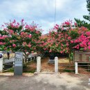 고려동 회관 이미지