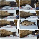 사계지낚시터 이미지